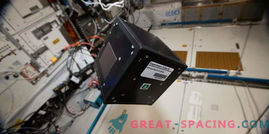 Modulinė eksperimentinė platforma ISS