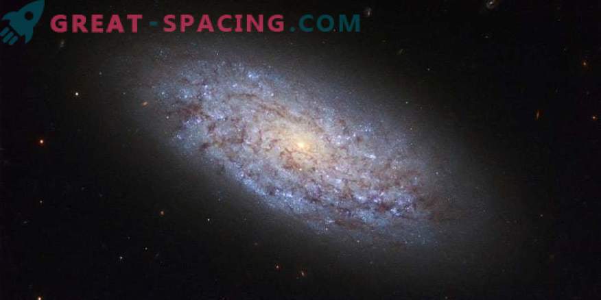 Patvirtinta seniausia spiralinė galaktika