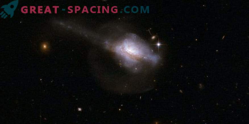 Aktyviosios galaktikos branduolys ir žvaigždės gimimas