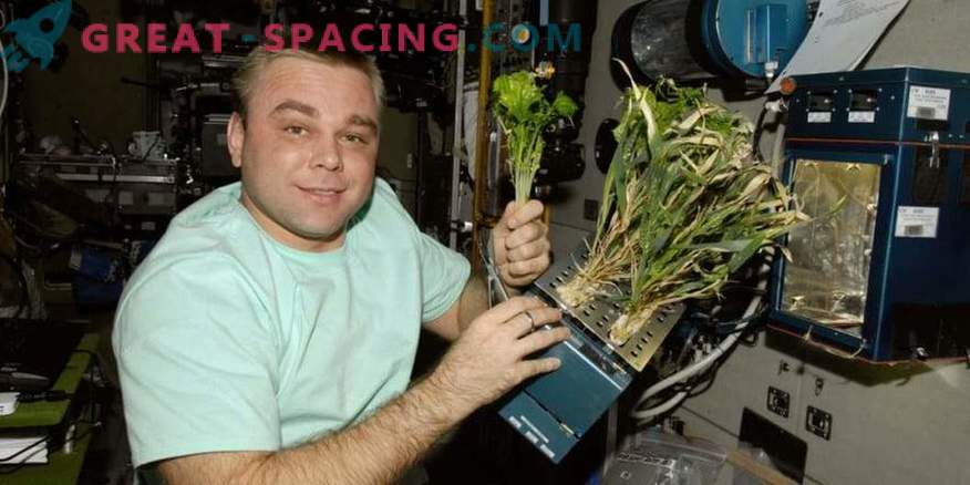 Eksperimentas dėl deguonies apdorojimo ISS