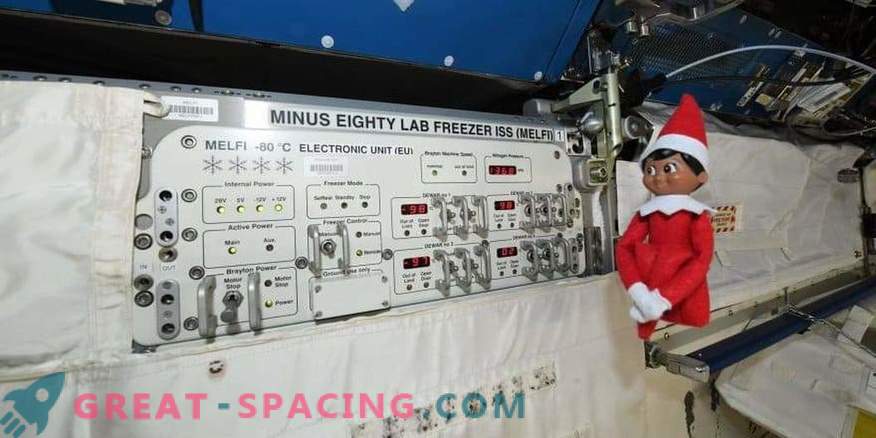Elfas tarptautinėje kosminėje stotyje
