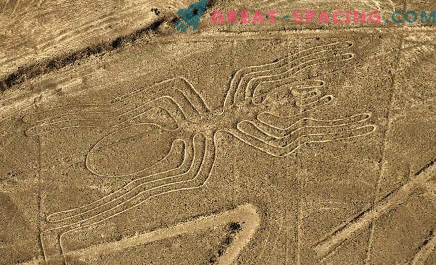Senovės brėžiniai Nazca dykumoje. Ufologai nurodo nežemišką kilmę