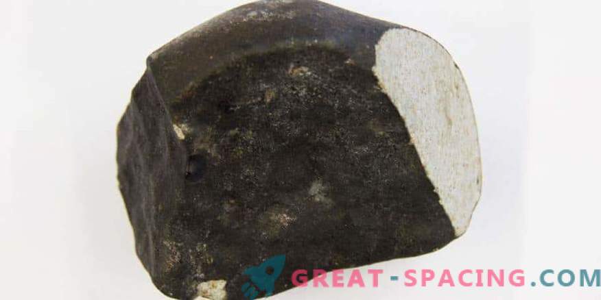 Científicos holandeses celebran la llegada de un raro meteorito