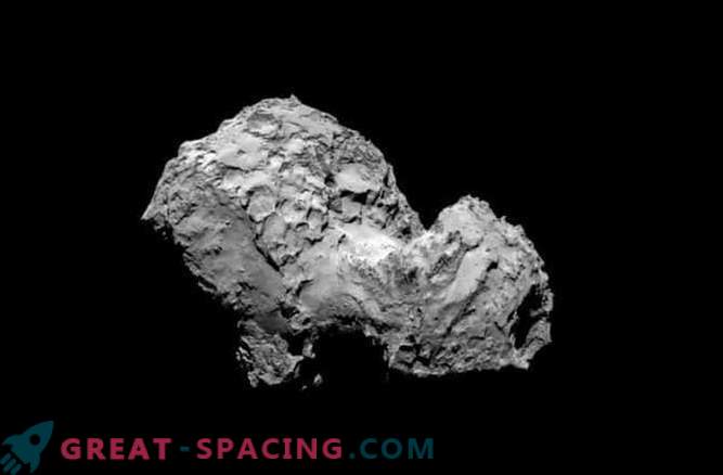Gyvenimo elementai randami kometoje „Rosetta“