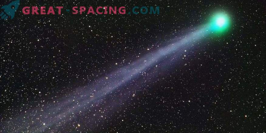 Comet Swift-Tattle įspėjamoji uodega