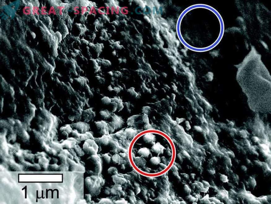Gyvenimas randamas Marso meteorito pavyzdžiuose